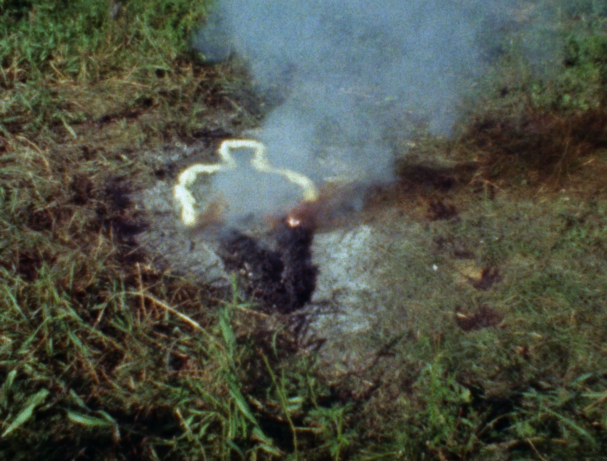 Ana Mendieta