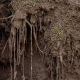 Delcy Morelos, Madre, 2025, earth, clay, water, wood, metal, jute, hay, straw, cinnamon, cloves, buckwheat, chia seeds, tobacco, honey, dimensions variable. Exhibition view Hamburger Bahnhof – Nationalgalerie der Gegenwart, 11.7.2025 – 25.1.2026 © Delcy M