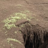 Delcy Morelos, Madre, 2025, earth, clay, water, wood, metal, jute, hay, straw, cinnamon, cloves, buckwheat, chia seeds, tobacco, honey, dimensions variable. Exhibition view Hamburger Bahnhof – Nationalgalerie der Gegenwart, 11.7.2025 – 25.1.2026 © Delcy M