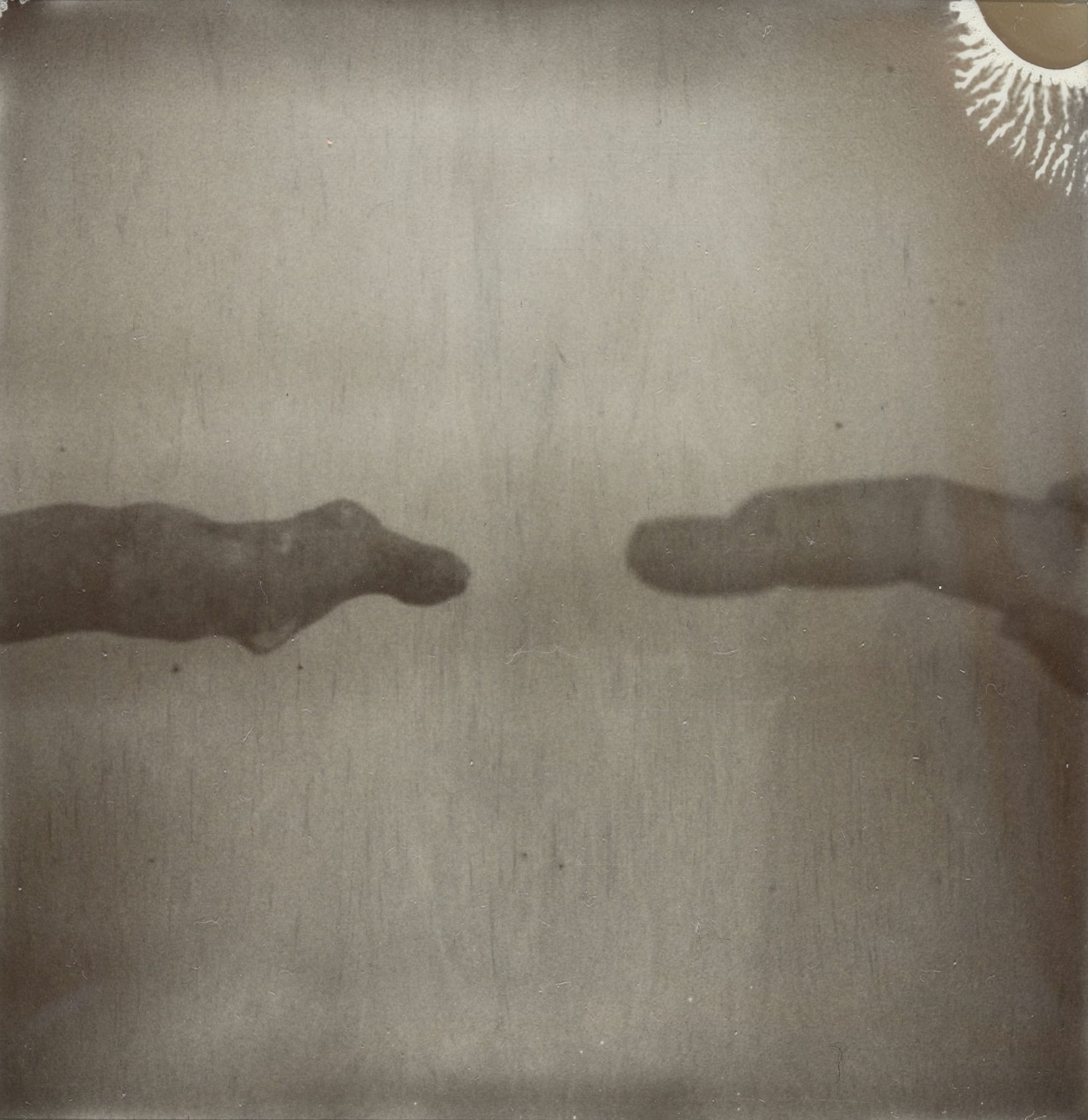 Tacita Dean Trial of the Finger