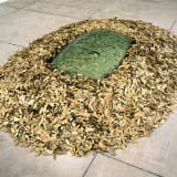 Image thumbnail: Arts of the Earth