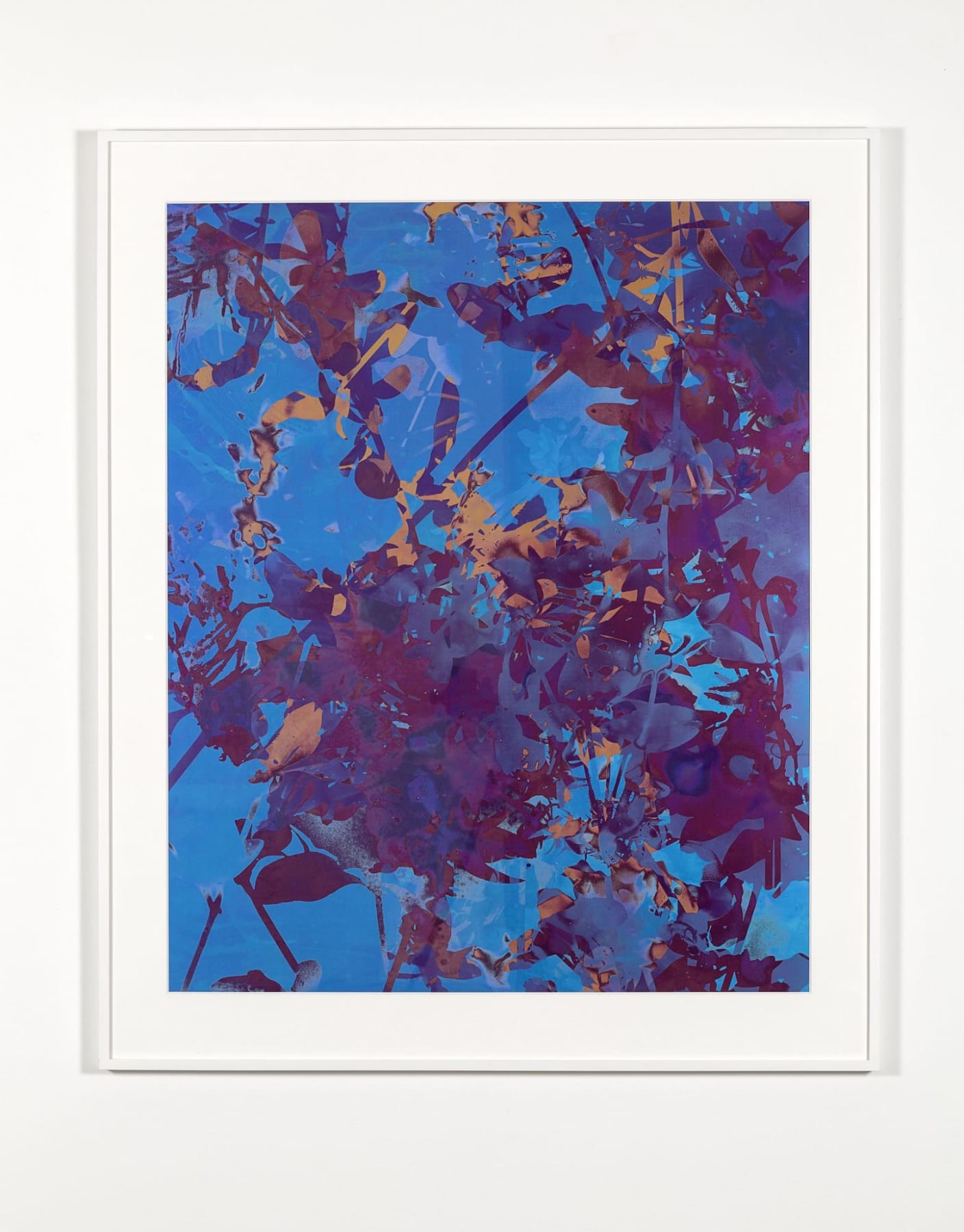 A blue, purple and orange photo collage of overlaid views of foliage.